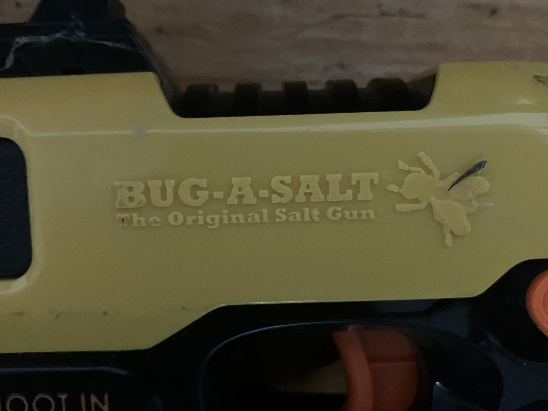 Bug A Salt