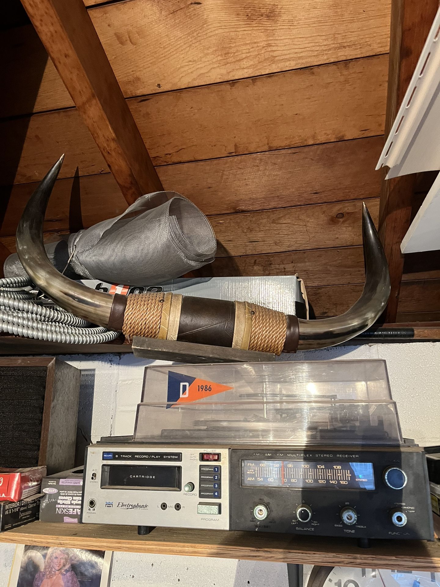 Bull Horns - Save $100