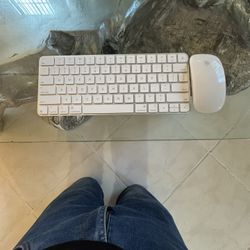 Apple Magic Keyboard And Mouse