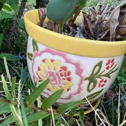 Tall Ceramic Pot Or Smaller One