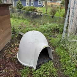 Igloo Dog House Medium Size