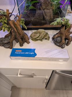 Reptile / fish supplies plus light