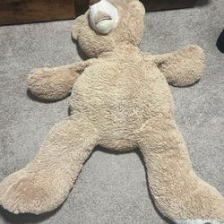 Big Teddy Bear