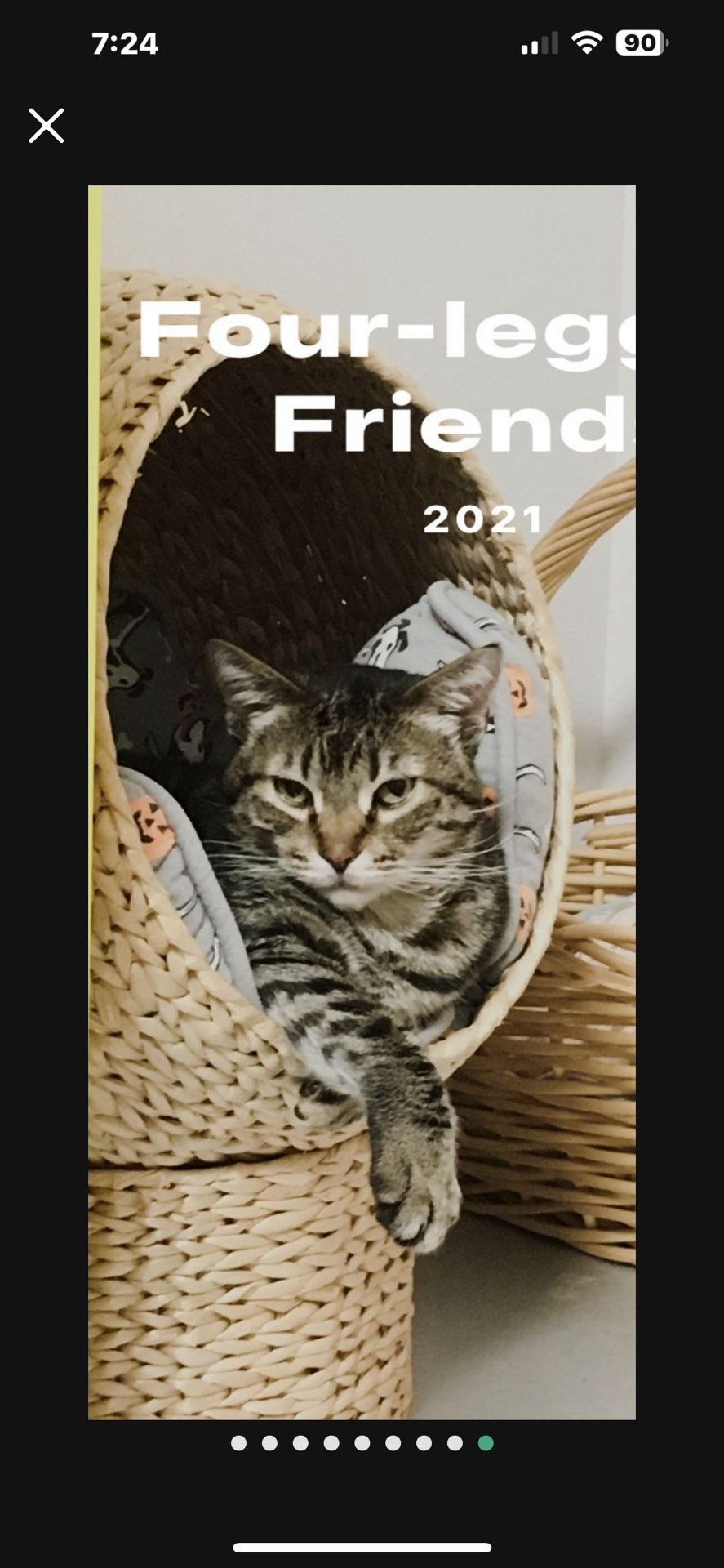 $39 CAT BED Woven Basket Mod Modern Modernist Kitty Nap