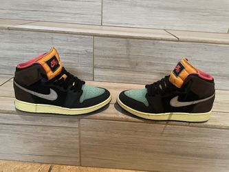 Jordan 1 Bio Hacks