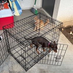 Foldable Kennel
