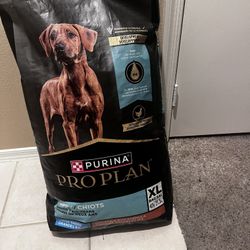 Purina  Pro Plan Large Breed Chicken And Rice Formula 47 lb Dog Food