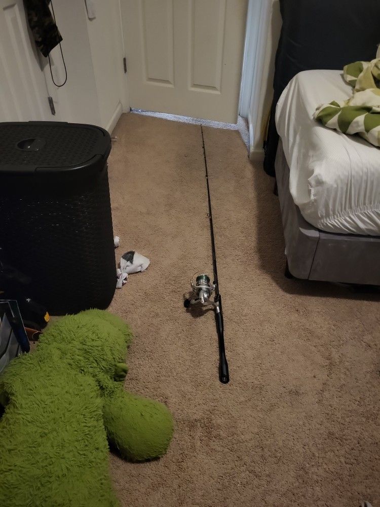 Fishing Rod And Reel