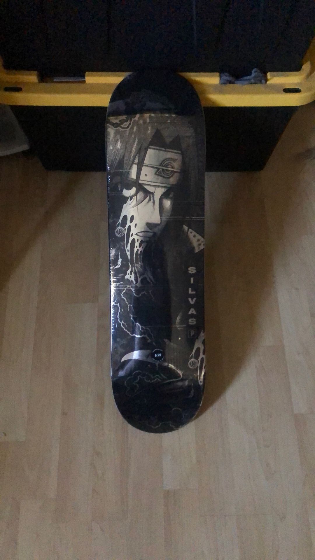 Skateboards 