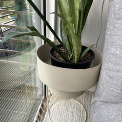Plant Holder And Stand