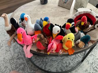 Ty Beanie Babies Bird Collection Lot with tags