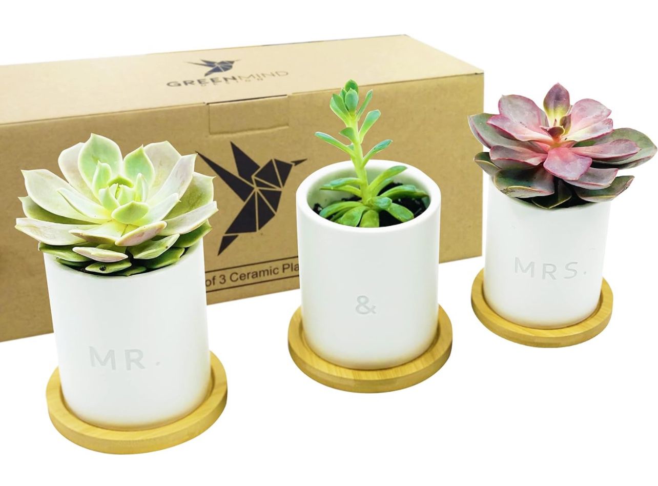Brand New GreenMind Design MR. & MRS. Gift Ceramic Pots - 3.5 inch White Mini Succulent Cactus Planter Pot w/Bamboo Tray & Drainage Hole Laser Engrave