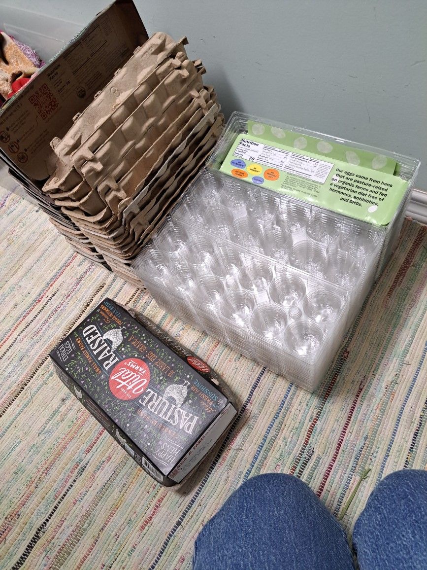 50 Clean And Dry Egg Cartons
