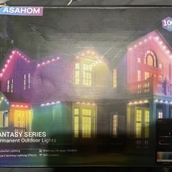 Permanent outdoor lights