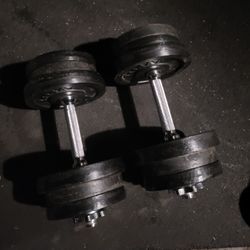50lbs  Dumbells Weights