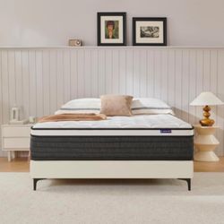 Full Mattress 