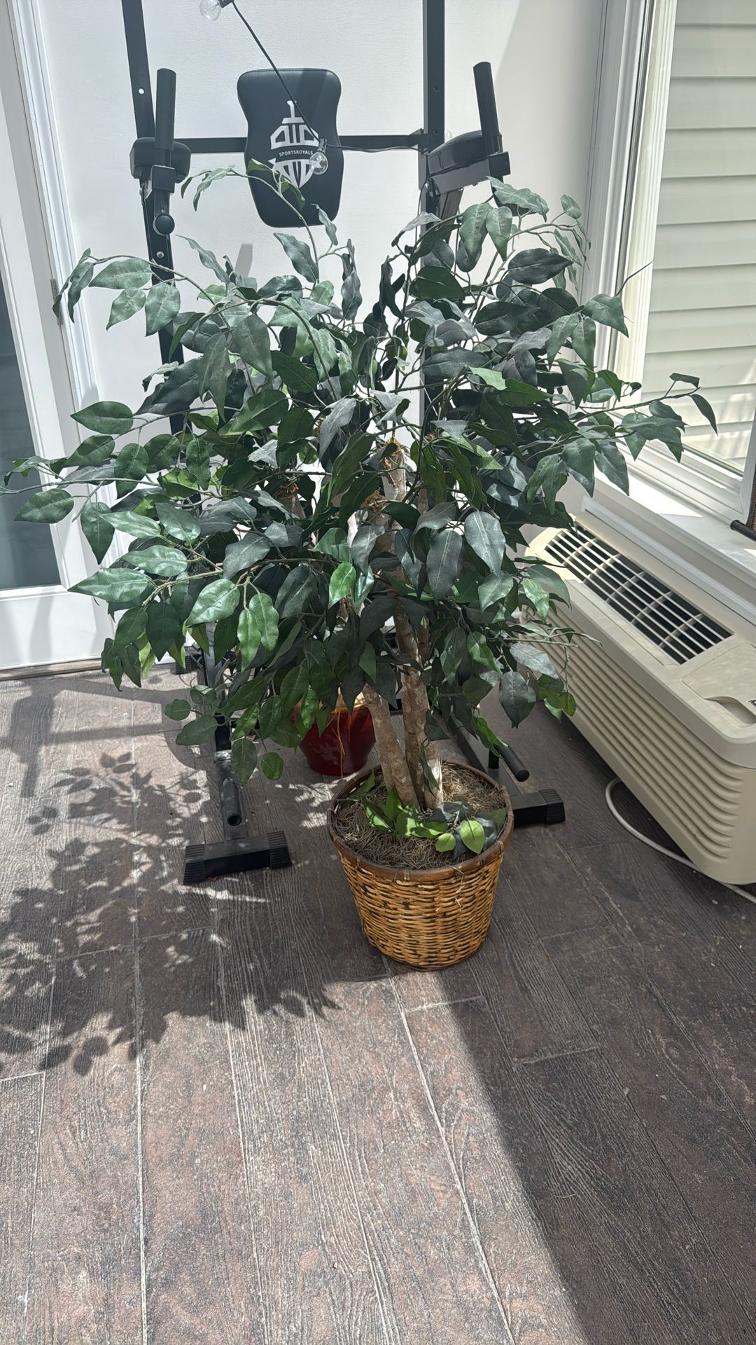 Fake Plant
