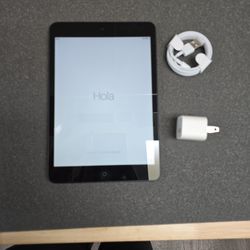 Ipad Mini 16gb Wifi...100% Working