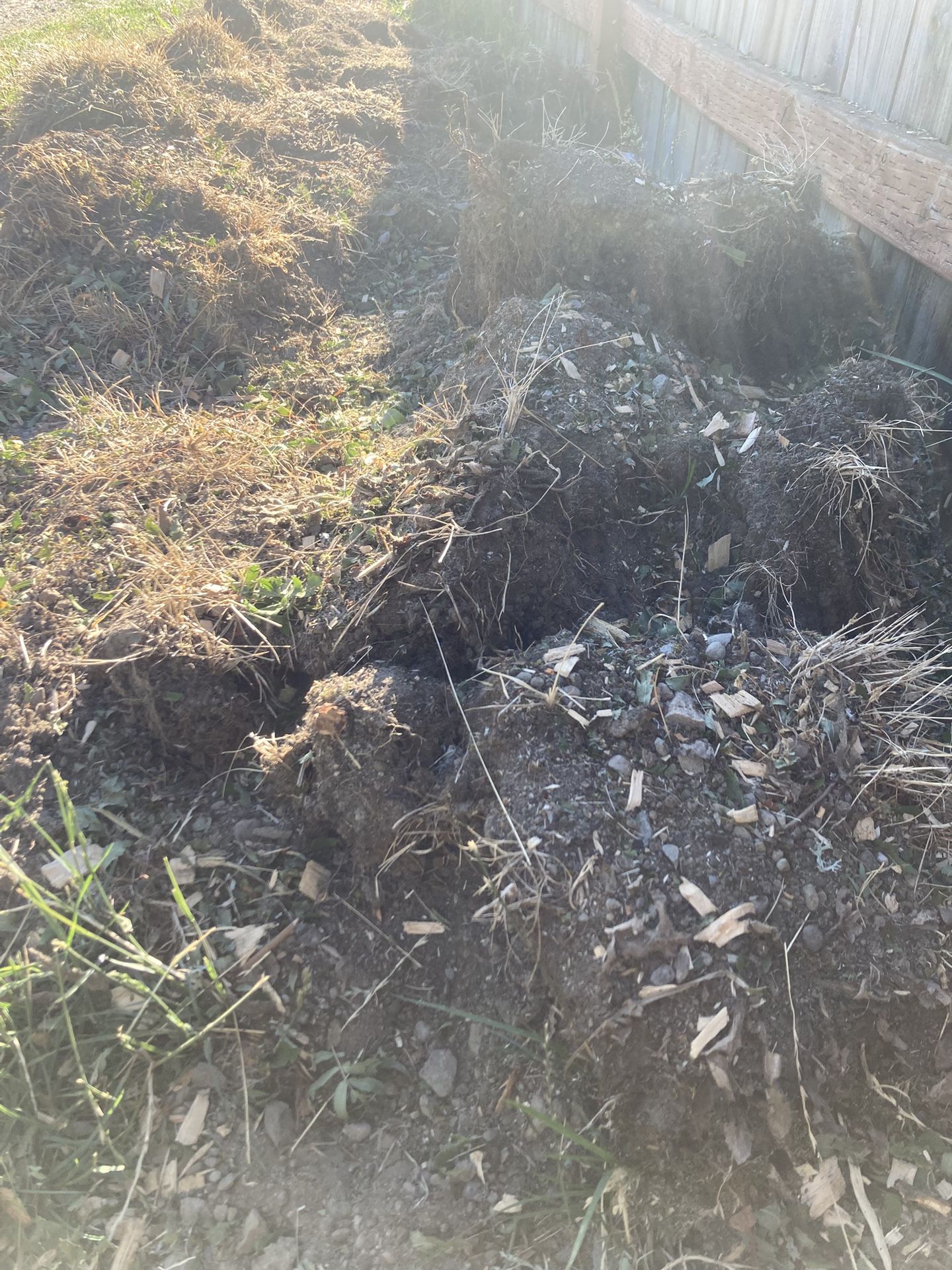 FREE fill dirt and sod