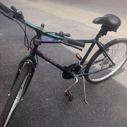Classic Bicycle 
