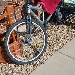 Bicycle built for two! 200 obo