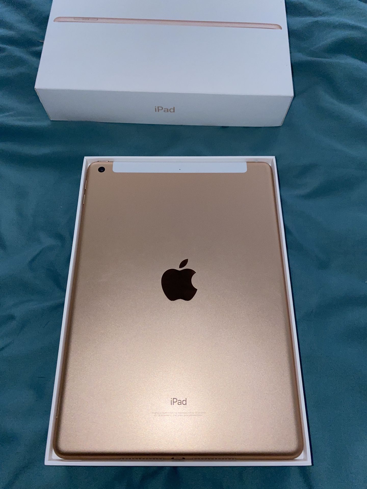 iPad 6th gen