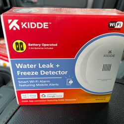 wather leak + freeze detector