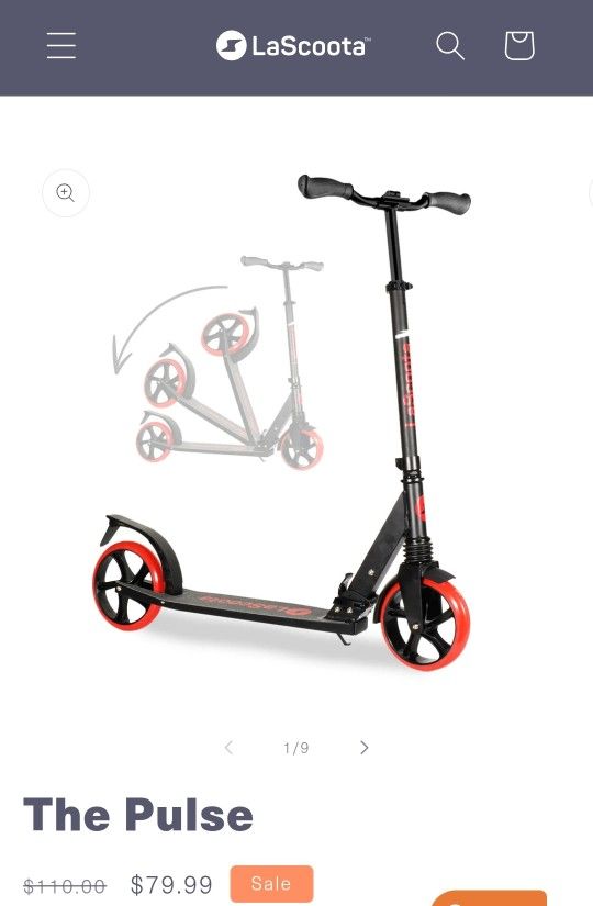 Lascoota..Two Adult Scooter EXCELLENT Condition!