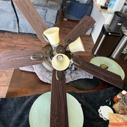 Ceiling Fan  Dark Color 