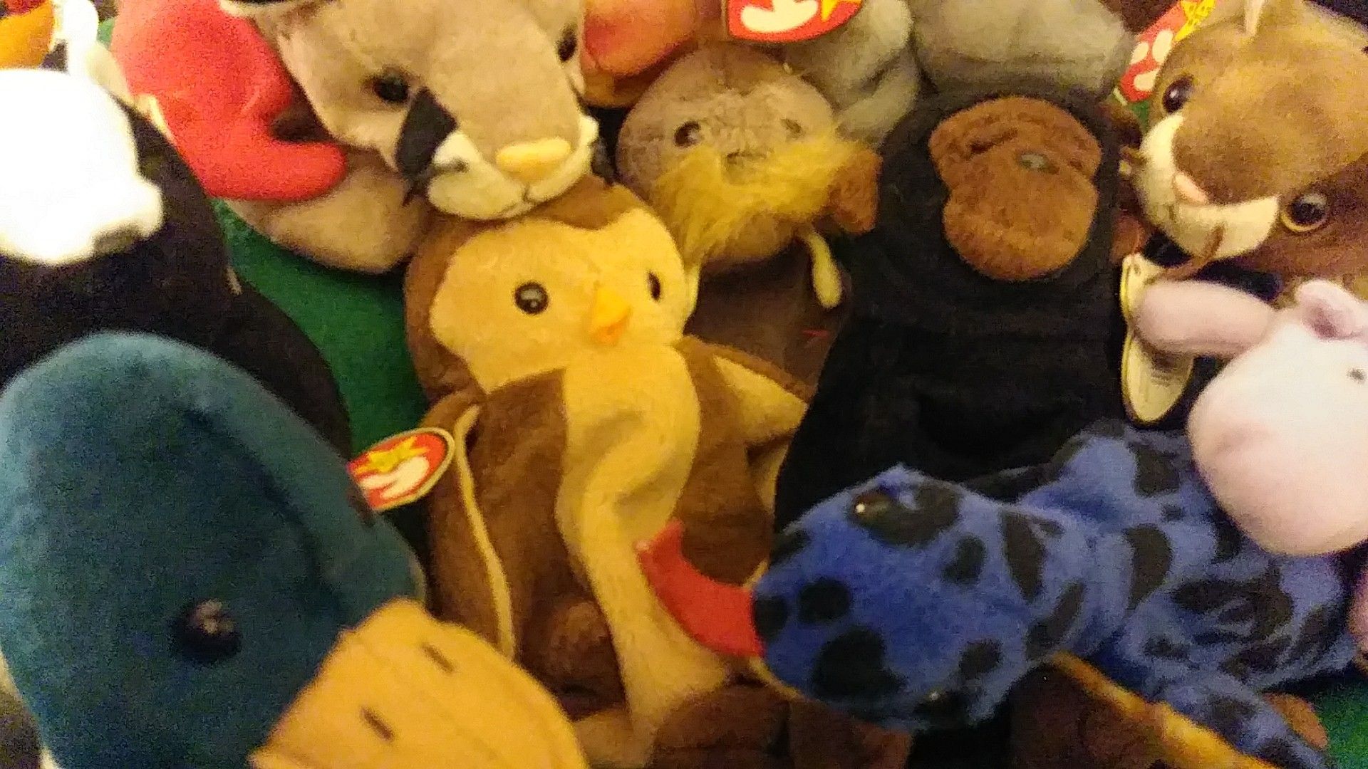 COLLECTION OF 13 BEANIE BABIES