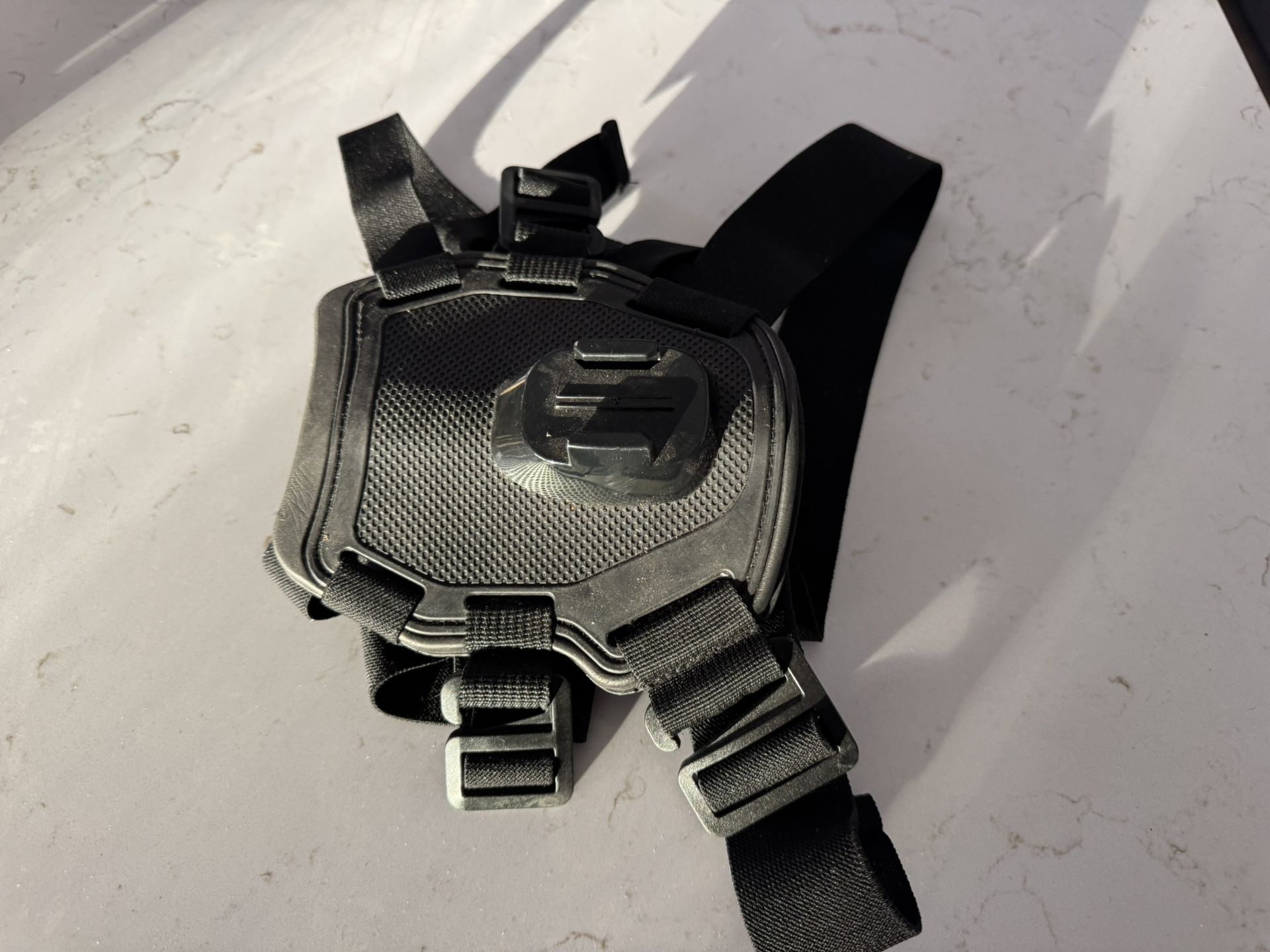 Dog Go Pro Harness
