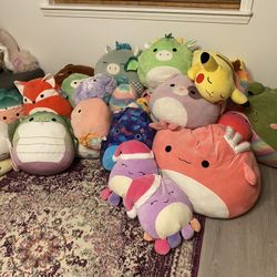 Squishmallow Collection 