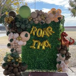 Balloons/ Backdrop/ Birthday 