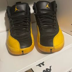 Jordan 12