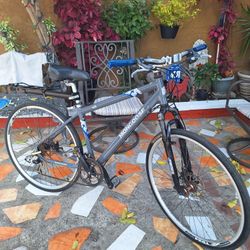 Mongoose 450 Hybrid/Mountain Bike