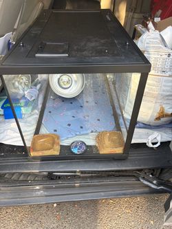 Glass Reptile Terrarium with Accessories