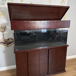 Fish tank/ Aquarium 60G Acrylic with Stand,completed filtration system.