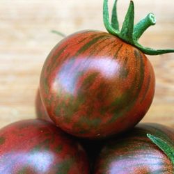 Rare Organic Purple Bumblebee Tomato Seeds And Plants! 2026 SEASON EARLY RELEASE! 