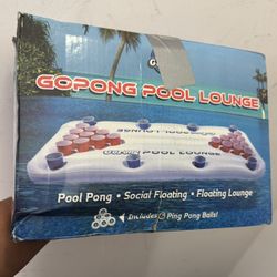 Pool Pong / Pong Table  