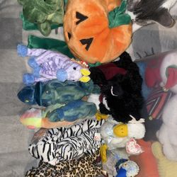TY plush Bundle 