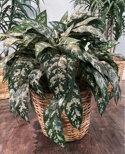 Artificial plant with basket