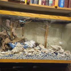 Aquarium 