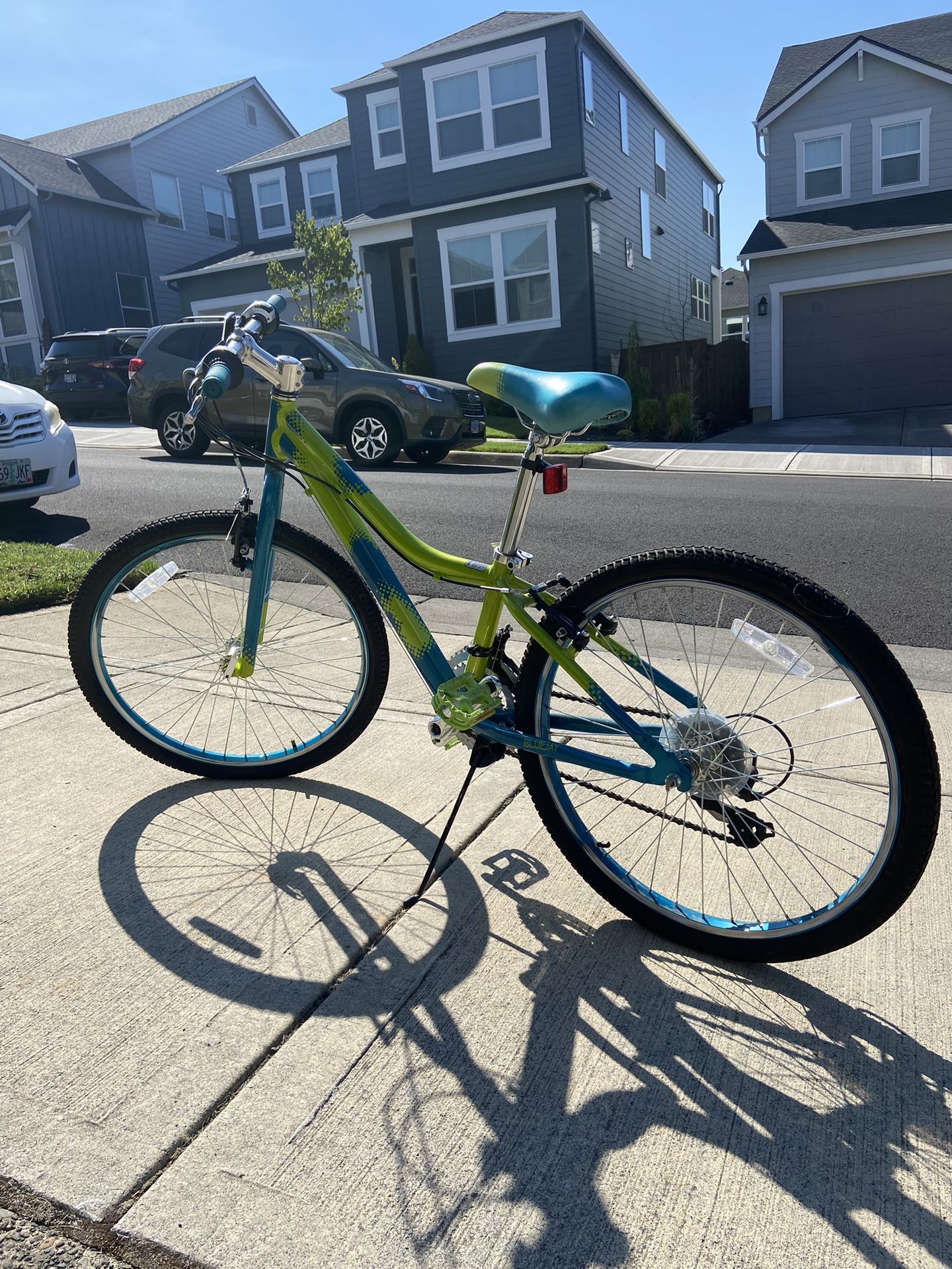 Performance Bluejay 24” Kids Bike