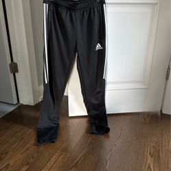 Adidas Pants