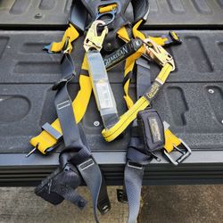 Safety Harness With Lanyard