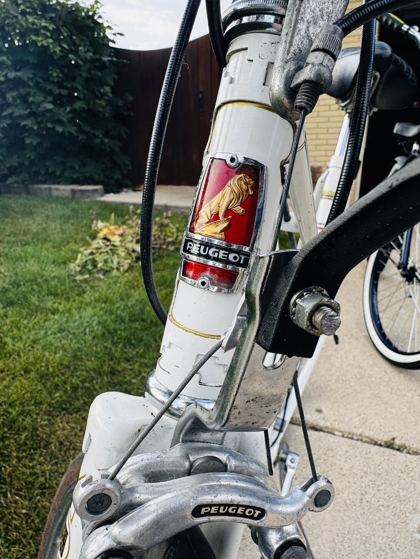 Classic Vintage Peugeot mixte bicycle