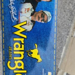 1999 Dale Earnhardt Wrangler 1/24 Action Standard 