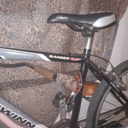 Black And Gray Schwinn