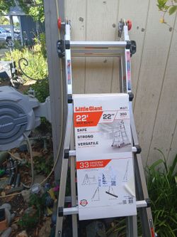 Little giant multi