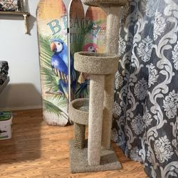 Cat Tree Almost 6 Ft Tall